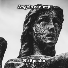 Ne Spesha - Angels Can Cry