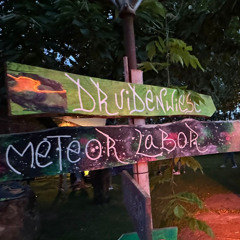 Schneefeld - Space Deich 2025 at Meteor Labor