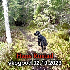 Skogpod 2. oktober 2023