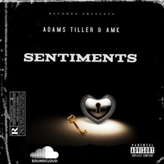 ADAMS TILLER X AMK - sentiments