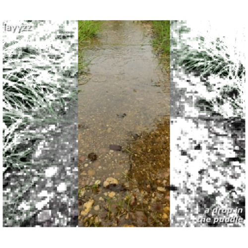 A Drop In The Puddle