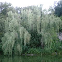 The World Needs Change (EVILMANEE Remix)