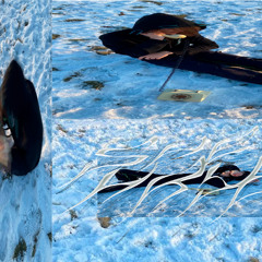 занят/не звони (prod. kurane)