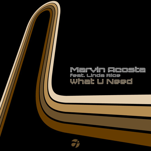 What U Need (Extended) [feat. Linda Rice]