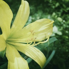 ☆°spring & summer vibe☆ʼ°