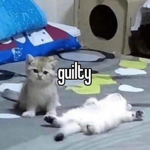 guilty w/ basr