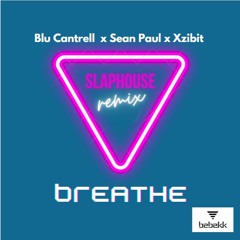 Blu Cantrell x Sean Paul x Xzibit - Breathe (Bebekk Remix)