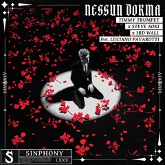 Timmy Trumpet x Steve Aoki x 3rd Wall - Nessun Dorma (feat Luciano Pavarotti)
