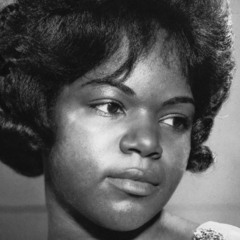 ASTRLPickle- (free dl) After Laughter dnb flip