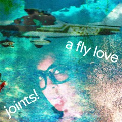 a fly love [soulquarians jawn]