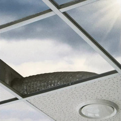 life =͟͟͞♡ / notinbed