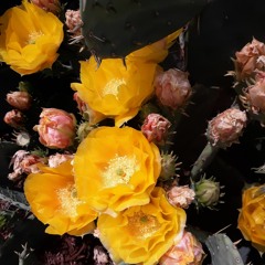 Fly With Me Duet (raw)  prod by: jseay