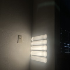 itllrain + cip - see right thru (meta) {2024}