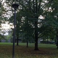 why do I still call you knowing you won't answer