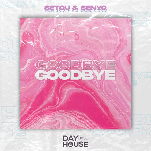Setou & Senyo - Goodbye