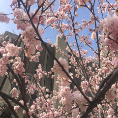 faith (prod. SHVAMP)