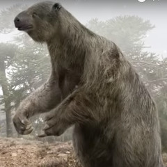 "crouching tiger hidden dragpn" (- EARL SWEATSHIRT) ~ LUQA X WOUNDZ *̵̢̨̛̬̱̤̜̹̱̜̠͍̖̯̭̬̻͙̫͖̤̦̪͚̱͙̞̳͖̱̤̠̻͉͚̪̖̥͍͖̈́̑̈̊̔̈́͂̌̓̌