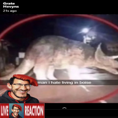 Haunted encounter with the Phantom Triceratops Ghost Orb, and the recovery of Markiplier's news carrer