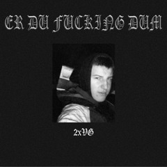ER DU FUCKING DUM
