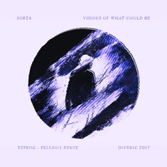 Sorza - Visions of what could be - Reprise (Fellsius Remix) [Diverse Edit]
