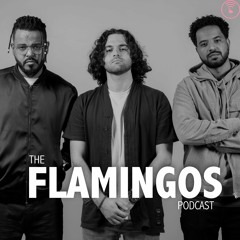 The Flamingos Podcast Trailer