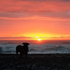 thursday sesh 1.30.25