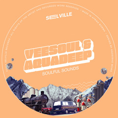 DHSA PREMIERE : Aquadeep x Veesoul - Stay (feat. A.M & Martin P)