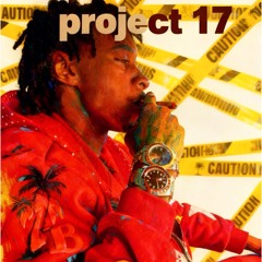 Project 17