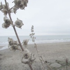 yuko_1st_year_collection /w friends