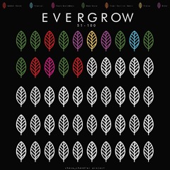 EVERGROW #65 - N!TRO CLUB BREW