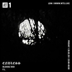 ENDLESS NTS Radio Show w/ 血男孩 (02.28.2020)