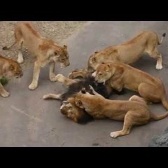 Reeve - In My Zone [Prod by. $ODA]