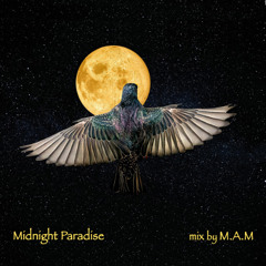 Midnight Paradise