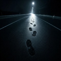 The Echoing Footsteps 1