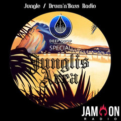 JunglisArea #249 11.01.2025 Deep Drop Collective Guestmix & 2H Special Interview