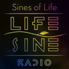 Sines of Life 113: Roundabouts