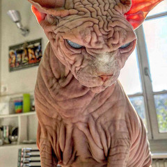 Disrespectful sped up (mix. 13edge)