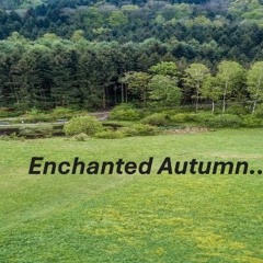 Enchanted Autumn..