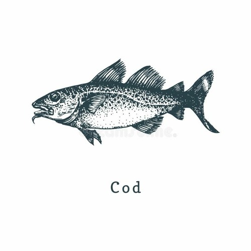 Codfish