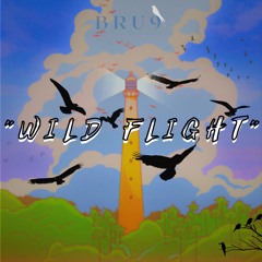 WILD FLIGHT