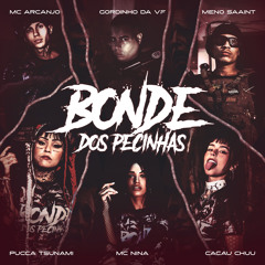 Bonde dos Pecinha 3.0 (feat. MC ARCANJO, MC NINA & Puccatsunami)