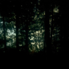 The Stand