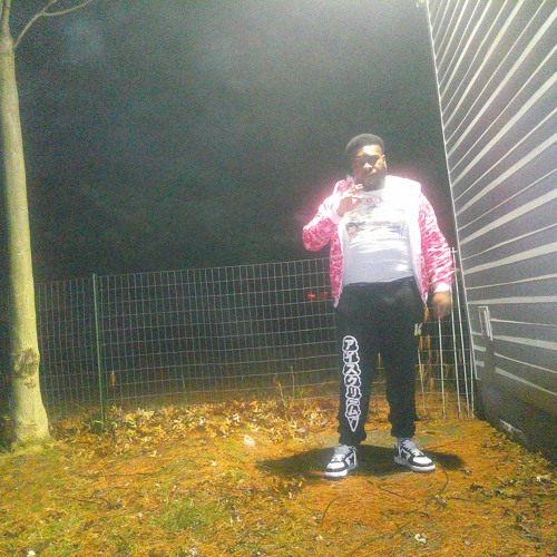 Looney Tunes Nem
