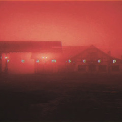 .diedlonely, énouement - stellar (sped up)