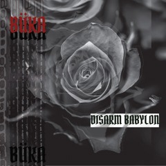 Disarm Babylon