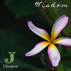 Wisdom