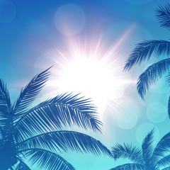 Palms & Blue Skies