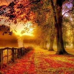 Autumn Fall Mix 2024