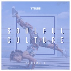 PREMIERE: Wipe The Needle - Joust Feat. Tshaka Campbell (WTN Acid Mix) [Tribe Records]