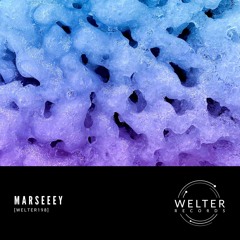 Piotr Kurek - Paper Tigers (Akute Edit) (bonus track)  [WELTER198]